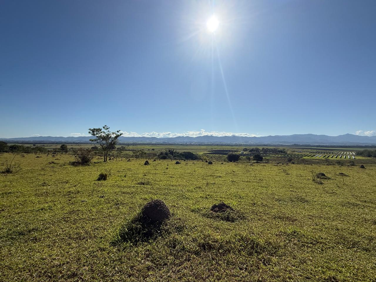 Campo aberto na Fazenda Marajoara com sol e Serra da Mantiqueira ao fundo — Caçapava, Vale do Paraíba