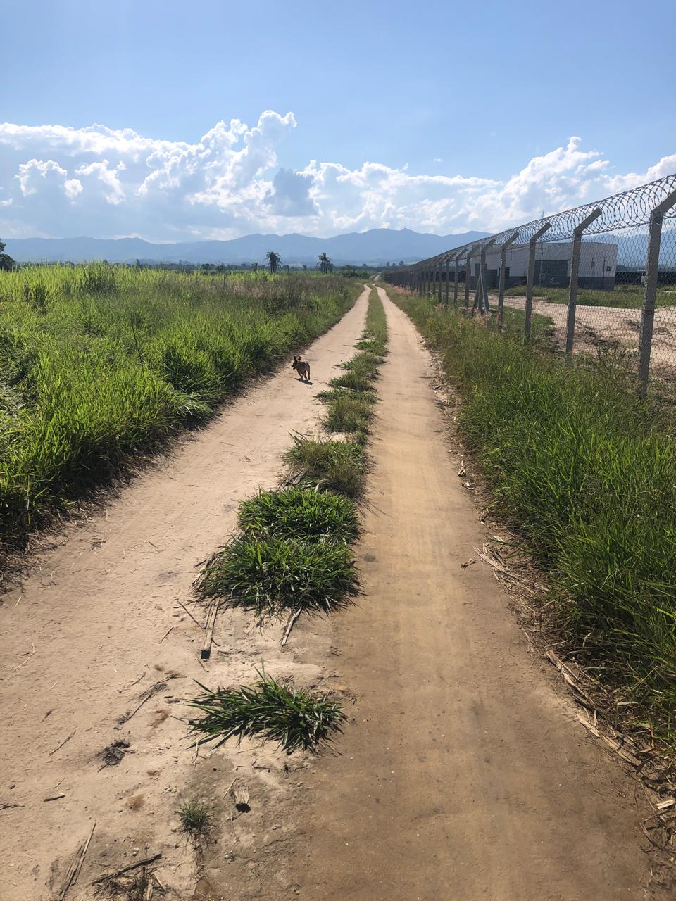 Estrada interna da Fazenda Marajoara em Caçapava, SP — acesso à propriedade com vista para as montanhas