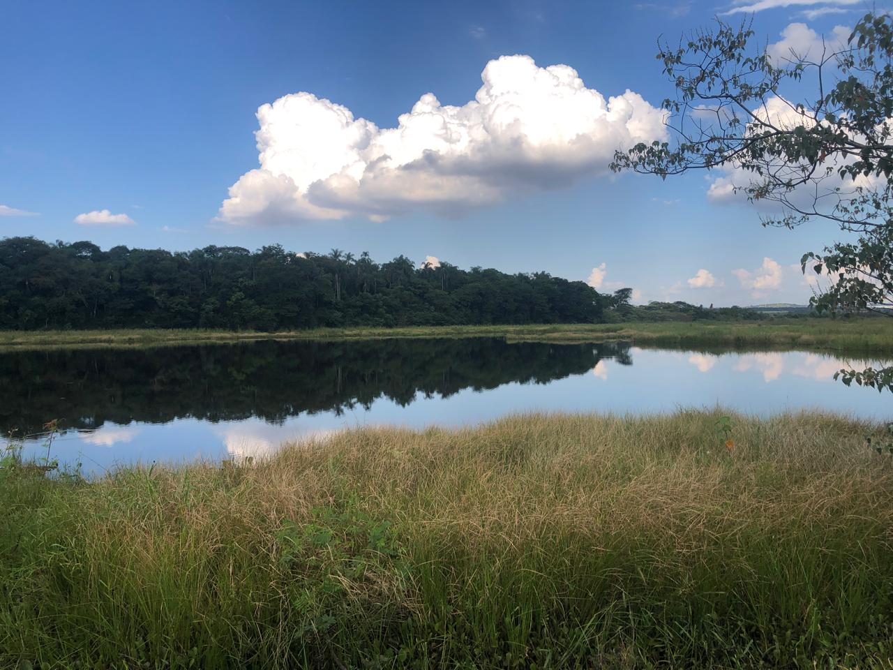 Lagoa na Fazenda Marajoara em Caçapava, SP — reflexo das nuvens na água com vegetação nativa ao redor